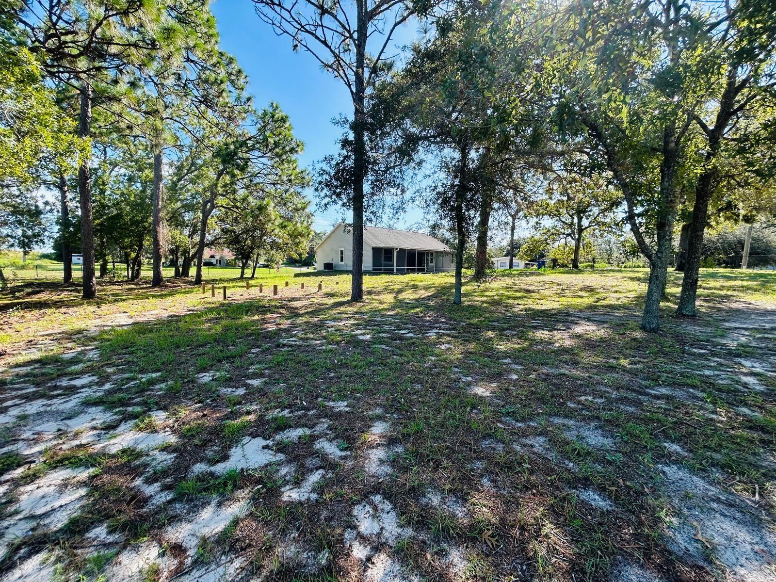 W7865829
