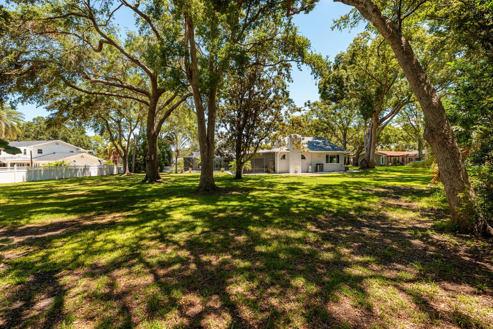 Back yard - shaded by oak trees.