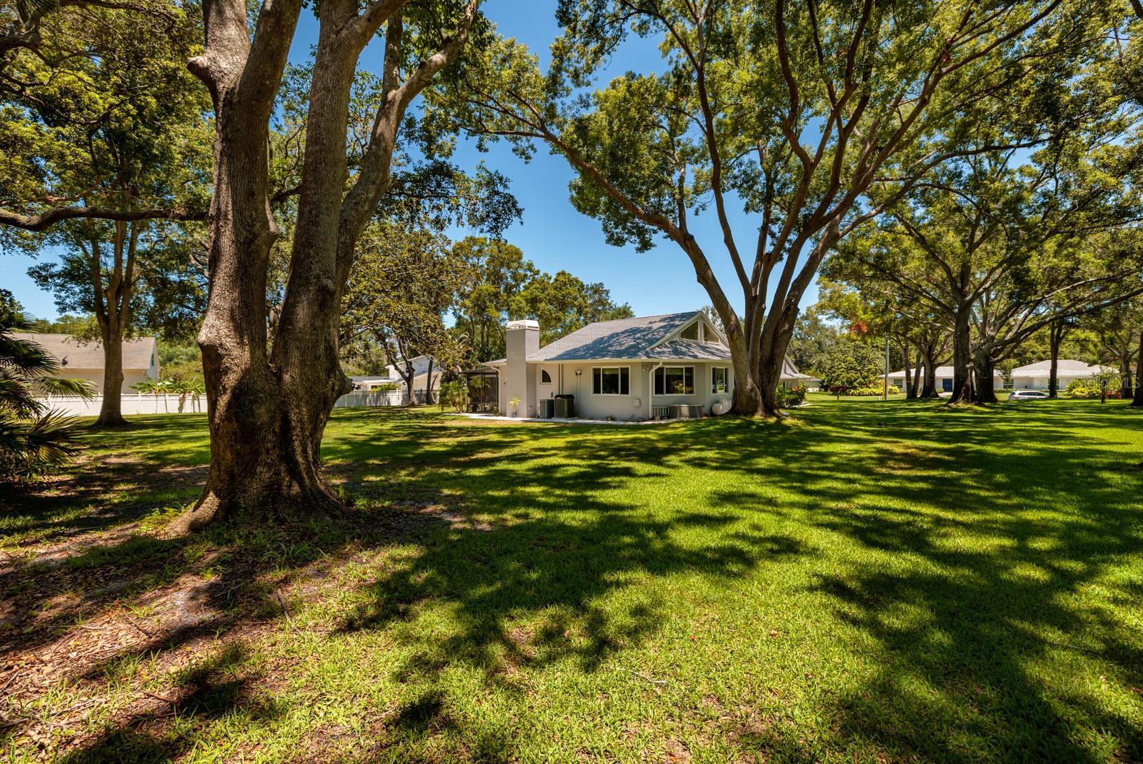 Back Yard with mature trees.