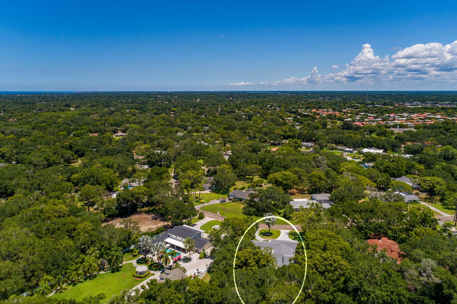 Aerial View - north toward Palm Harbor