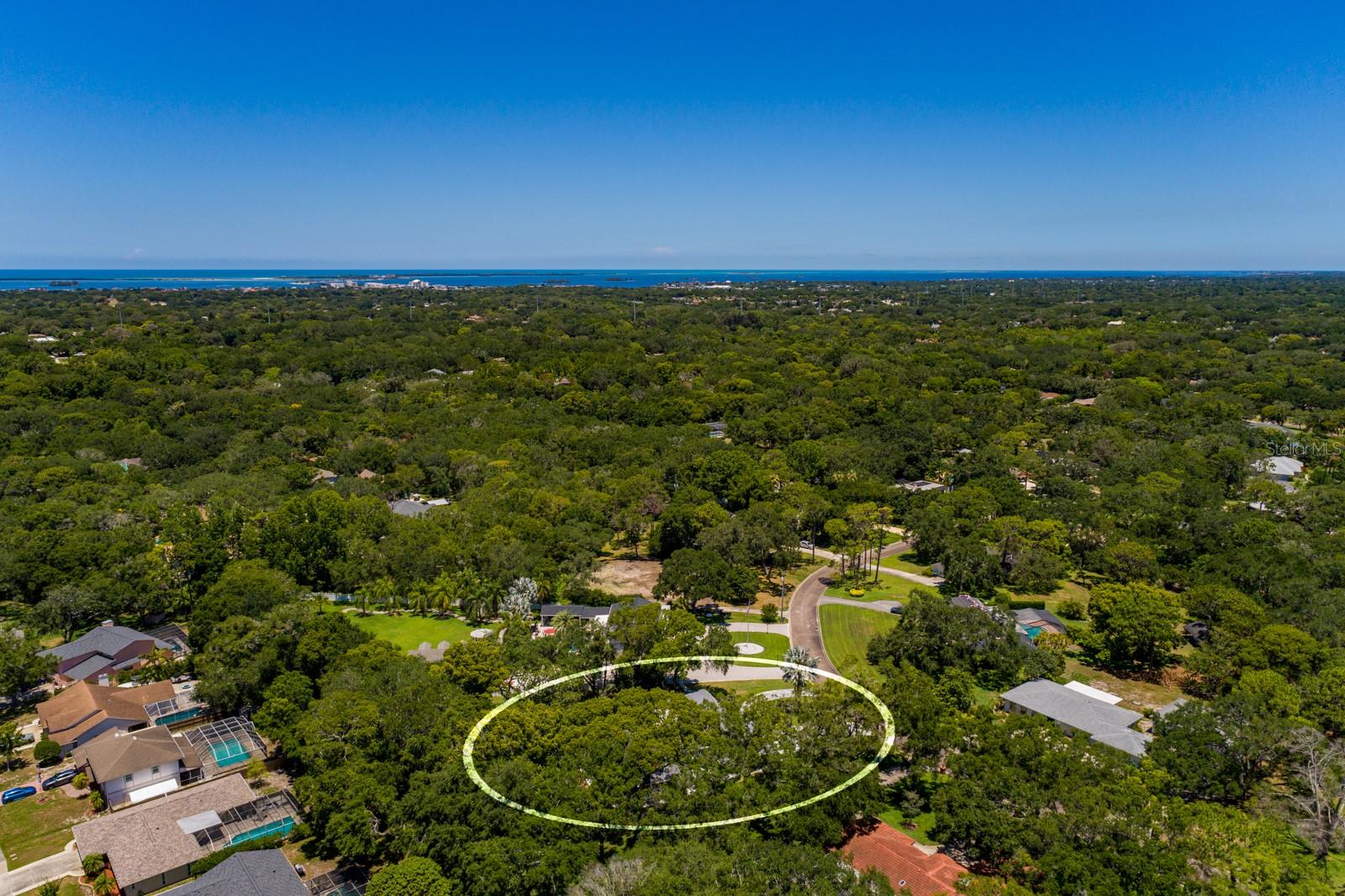 Aerial View - toward Honeymoon Island