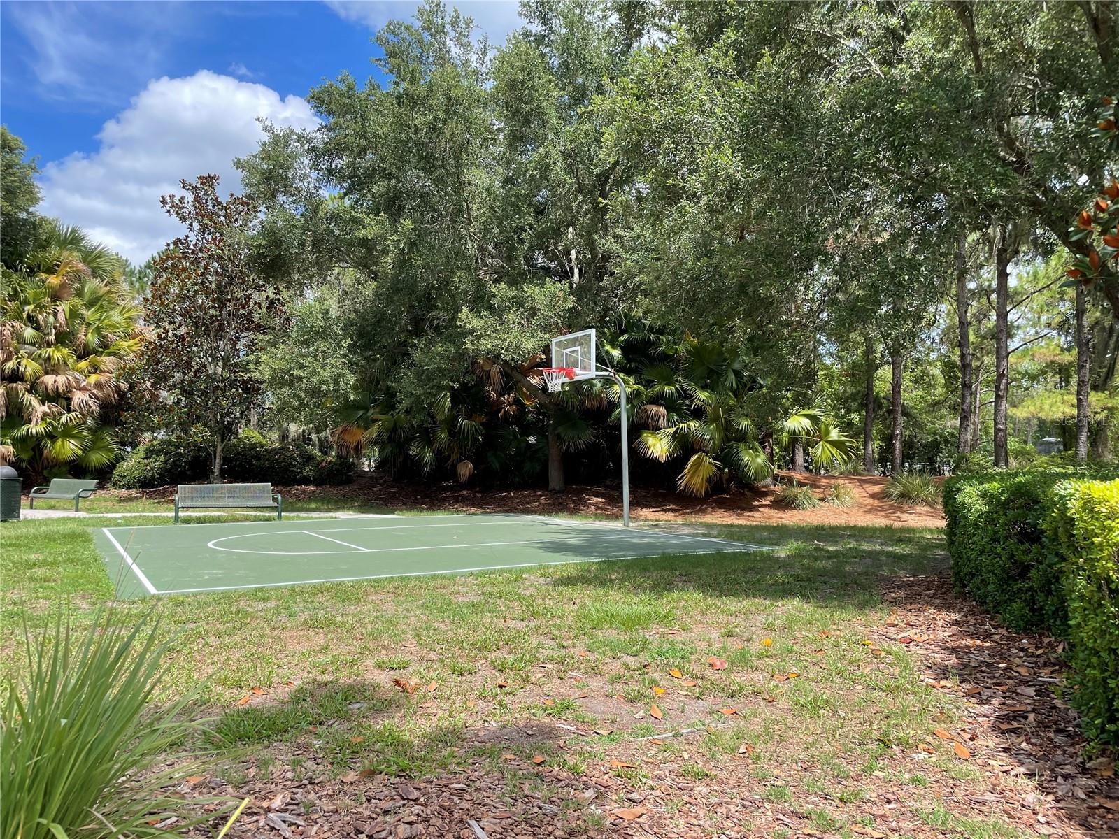 This separate Basketball Court is located inside Lakeside Village subdivision (Other Basketball Courts are by the Clubhouse)