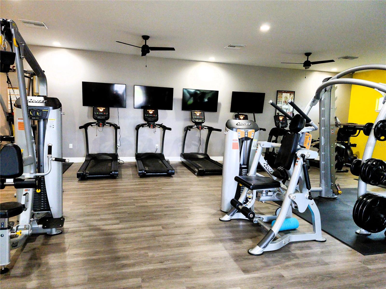 Fitness area