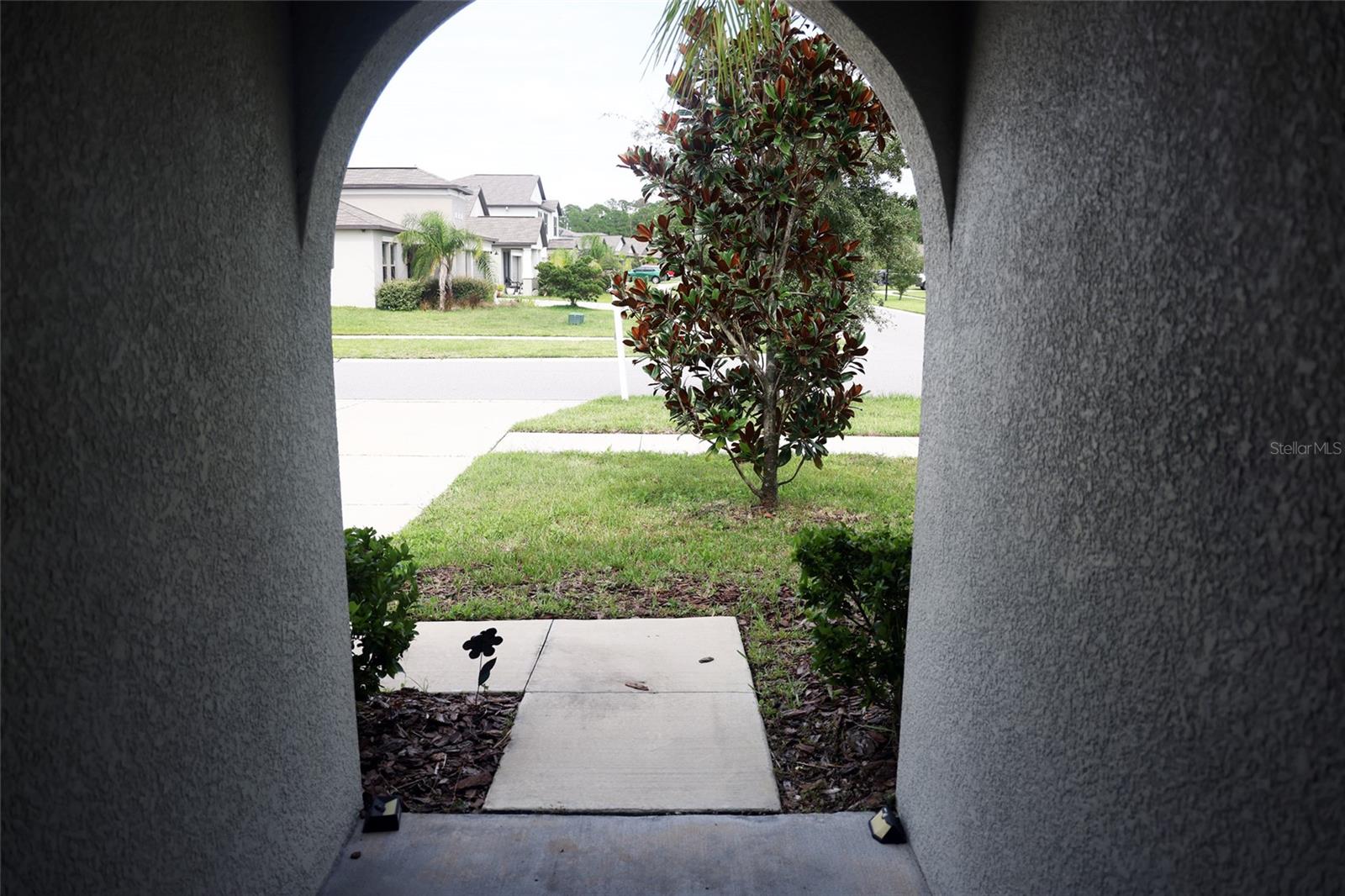 View from the driveway towards the parking pad and street