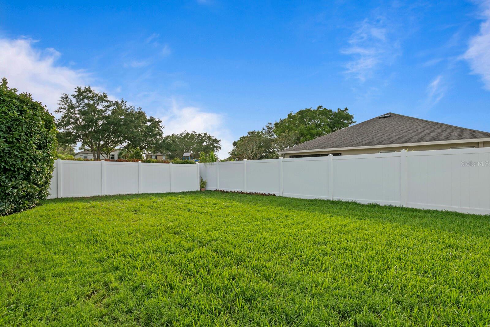 Lush grass in the vinyl fenced backyard