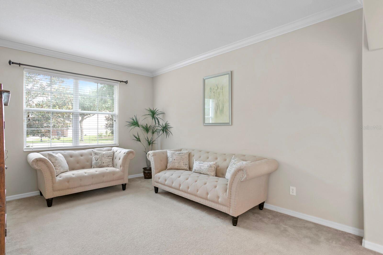 Great natural light in the formal living room