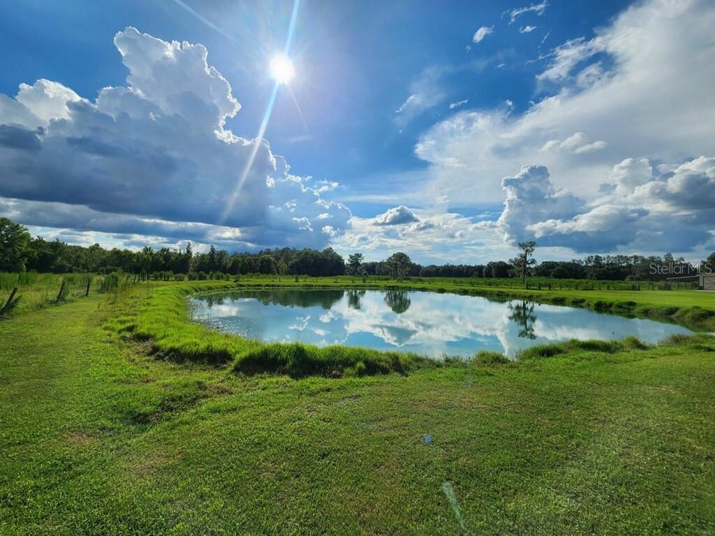 One of the two spring fed ponds