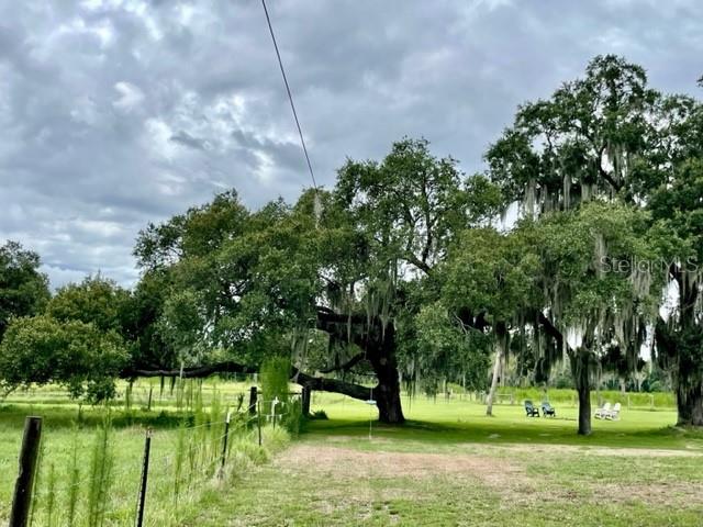 Zip line from treehouse