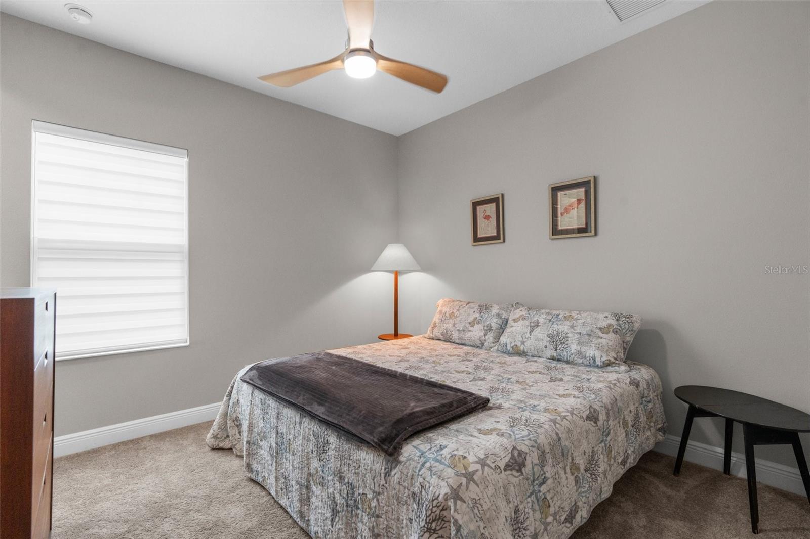 Downstairs Bedroom with walk in closet - room enough for king size bed