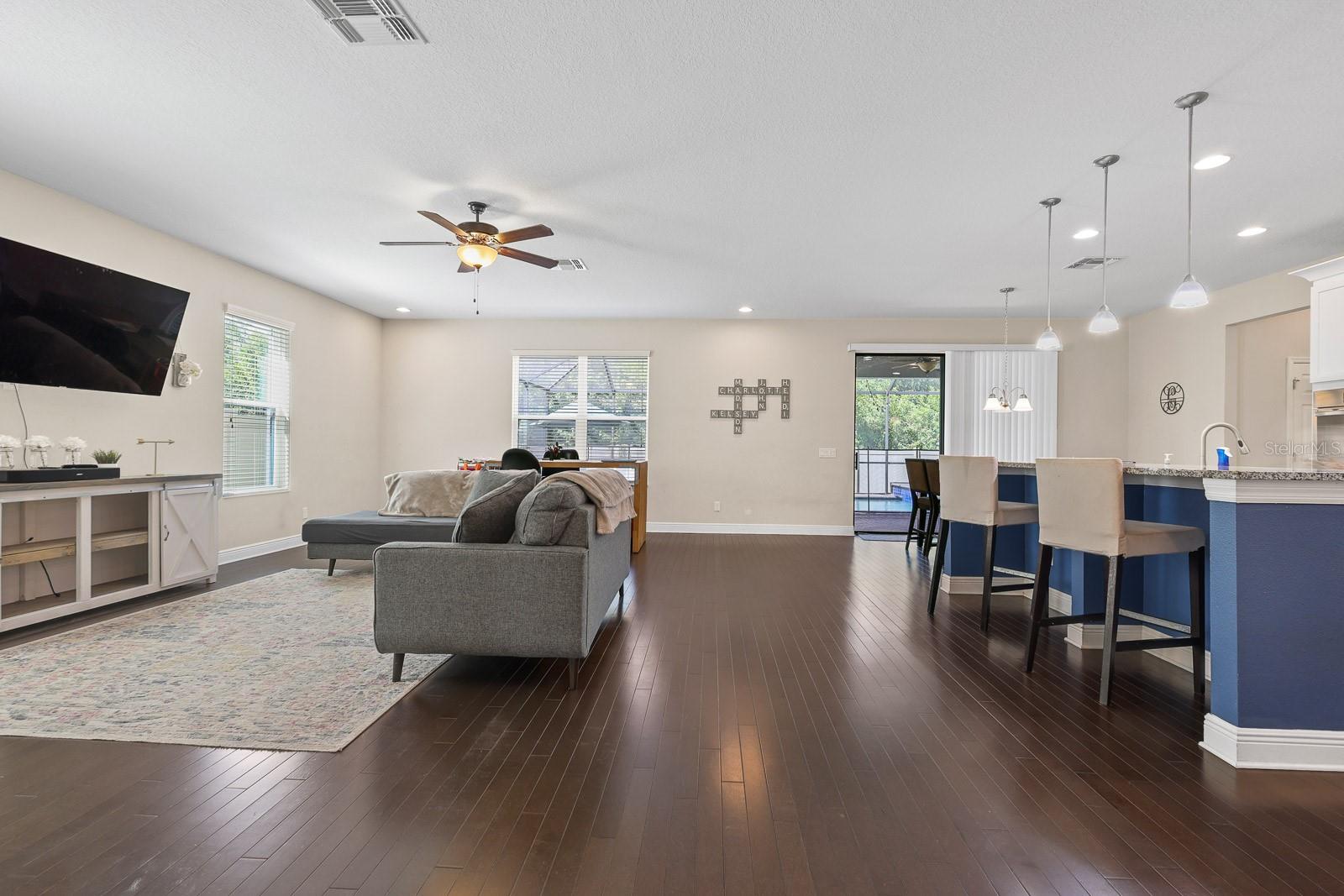 Living Room view from entry way