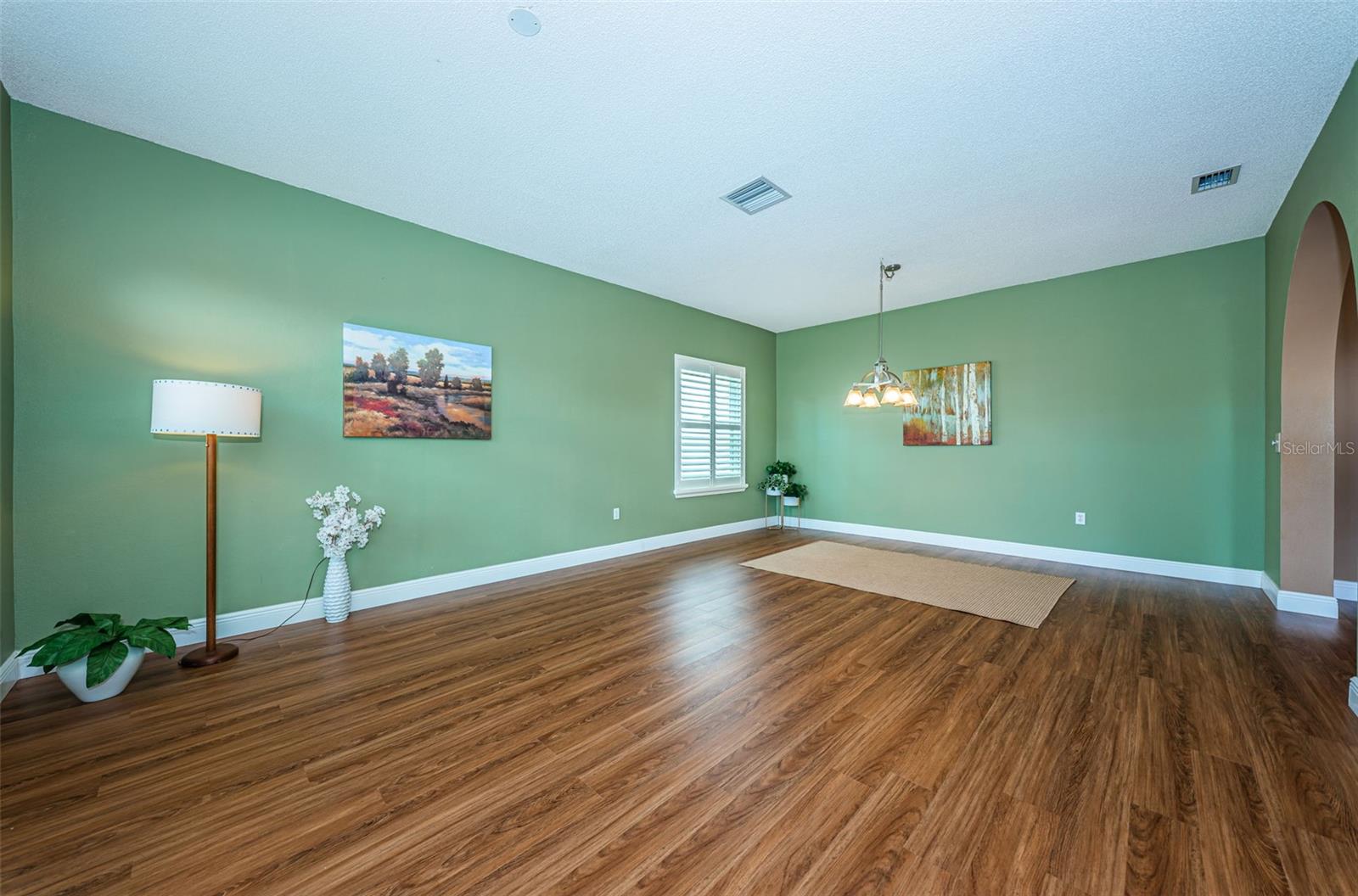 Living Room/Dining Room Combo