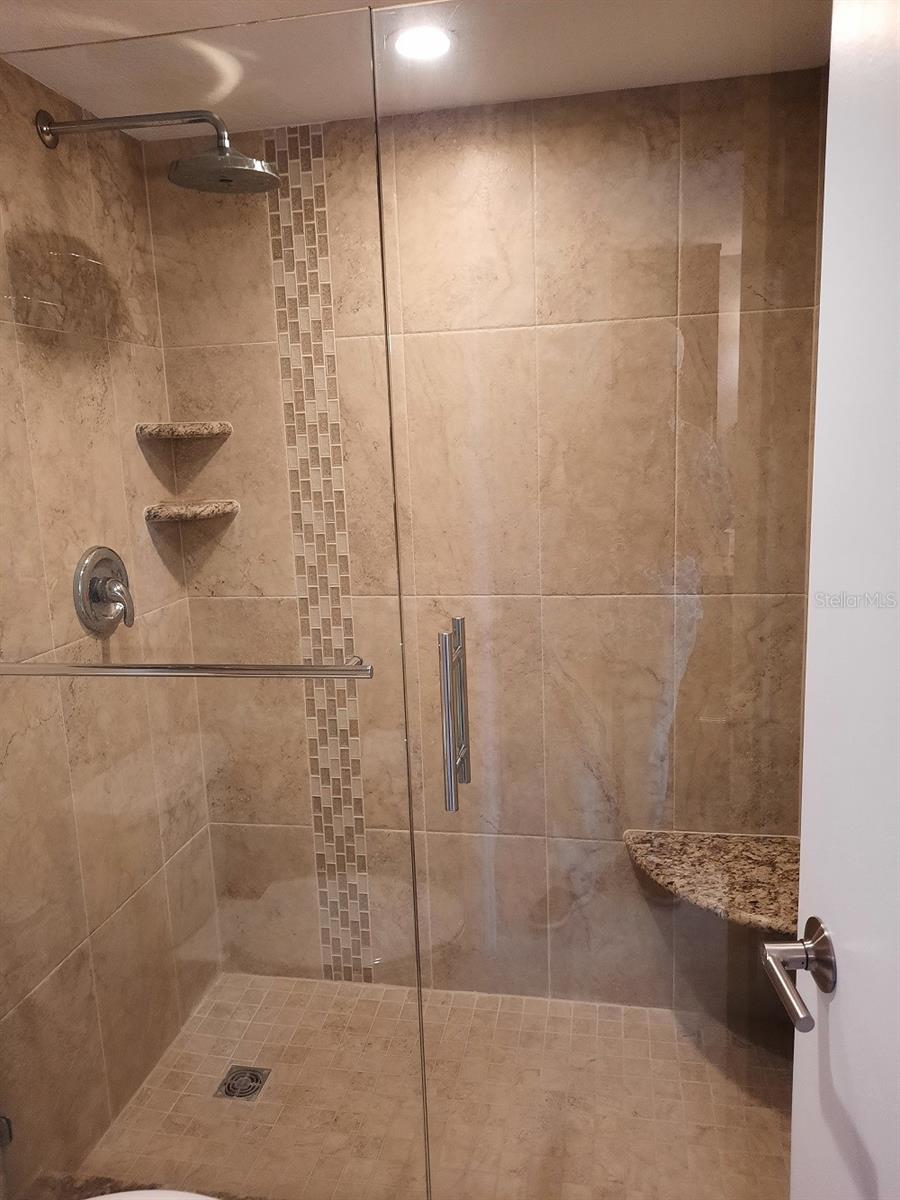 Master Bath Shower