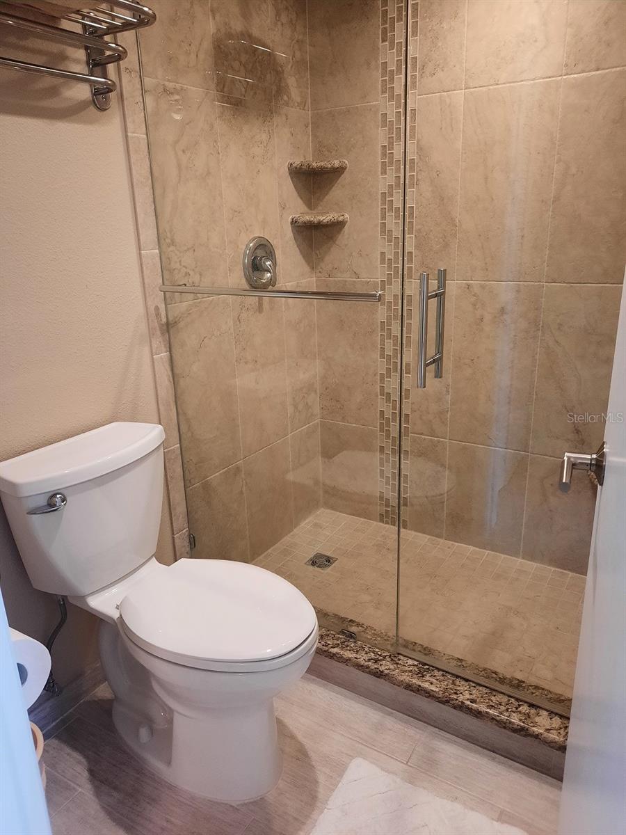 Master Bath Shower & Commode