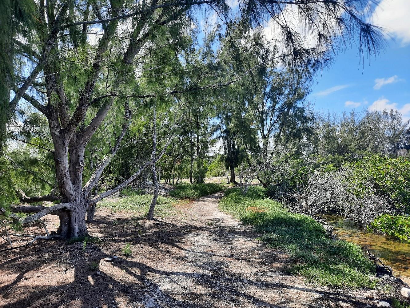 Nature Trail