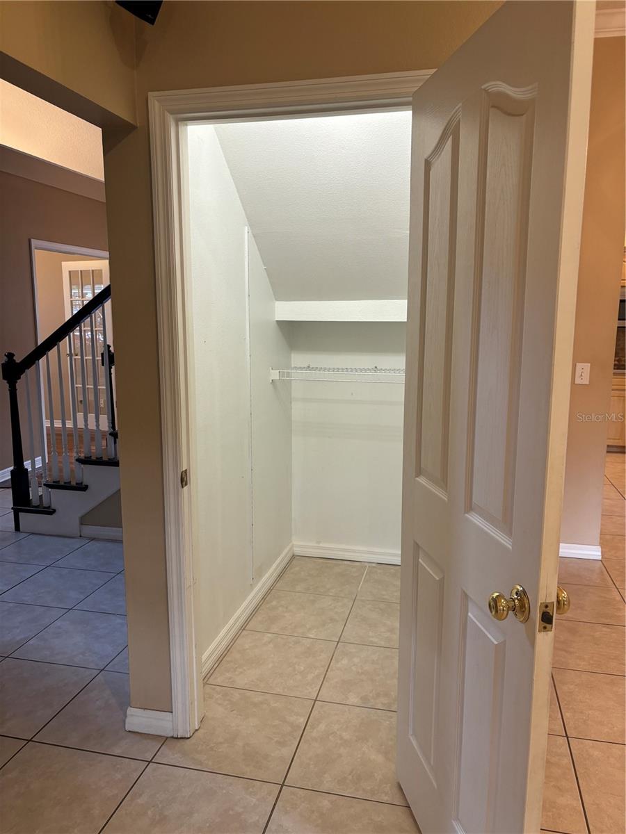 Closet under staircase