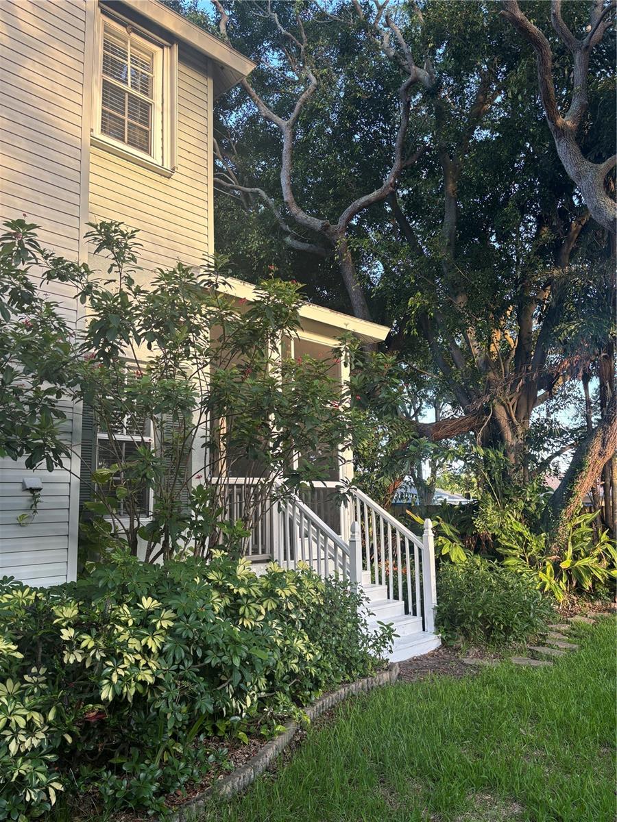 Side of backyard leading to back porch.