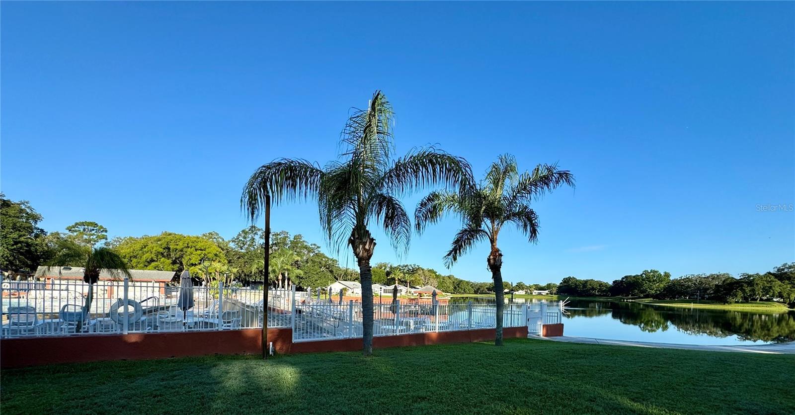 Pool and Lake View