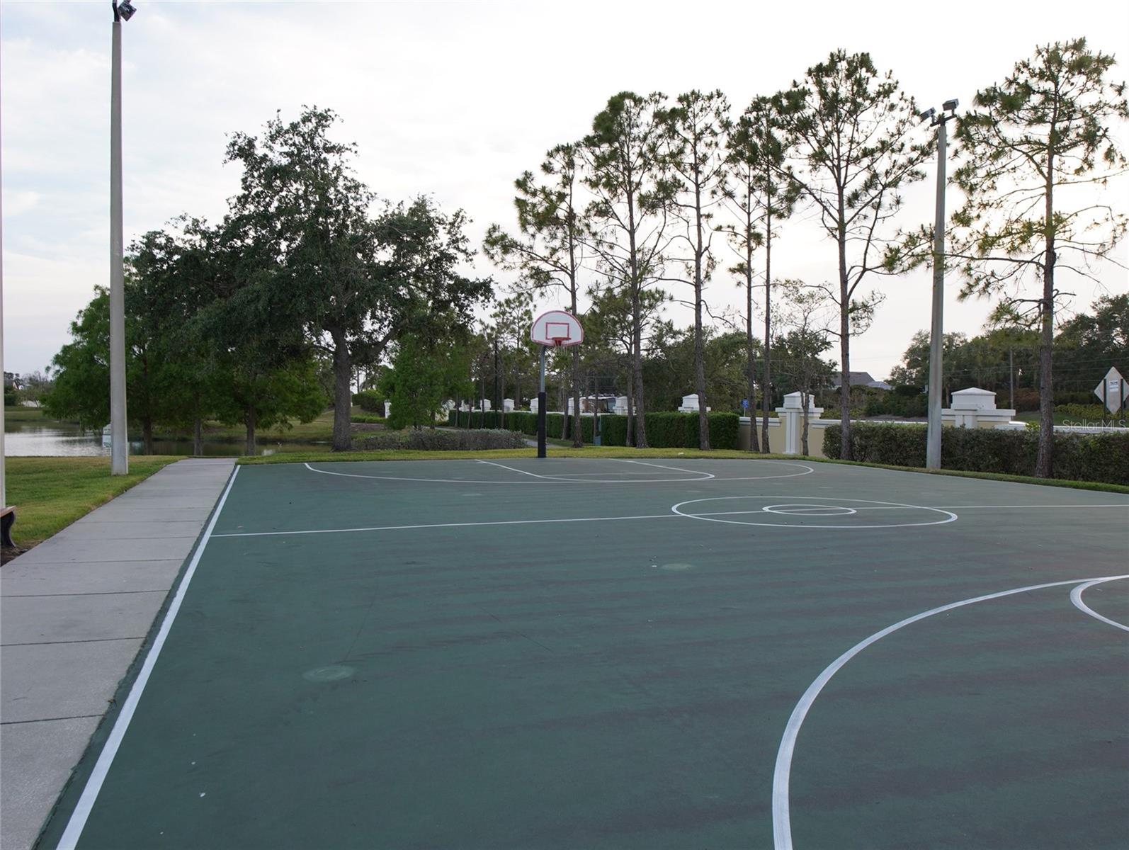 T3536292
