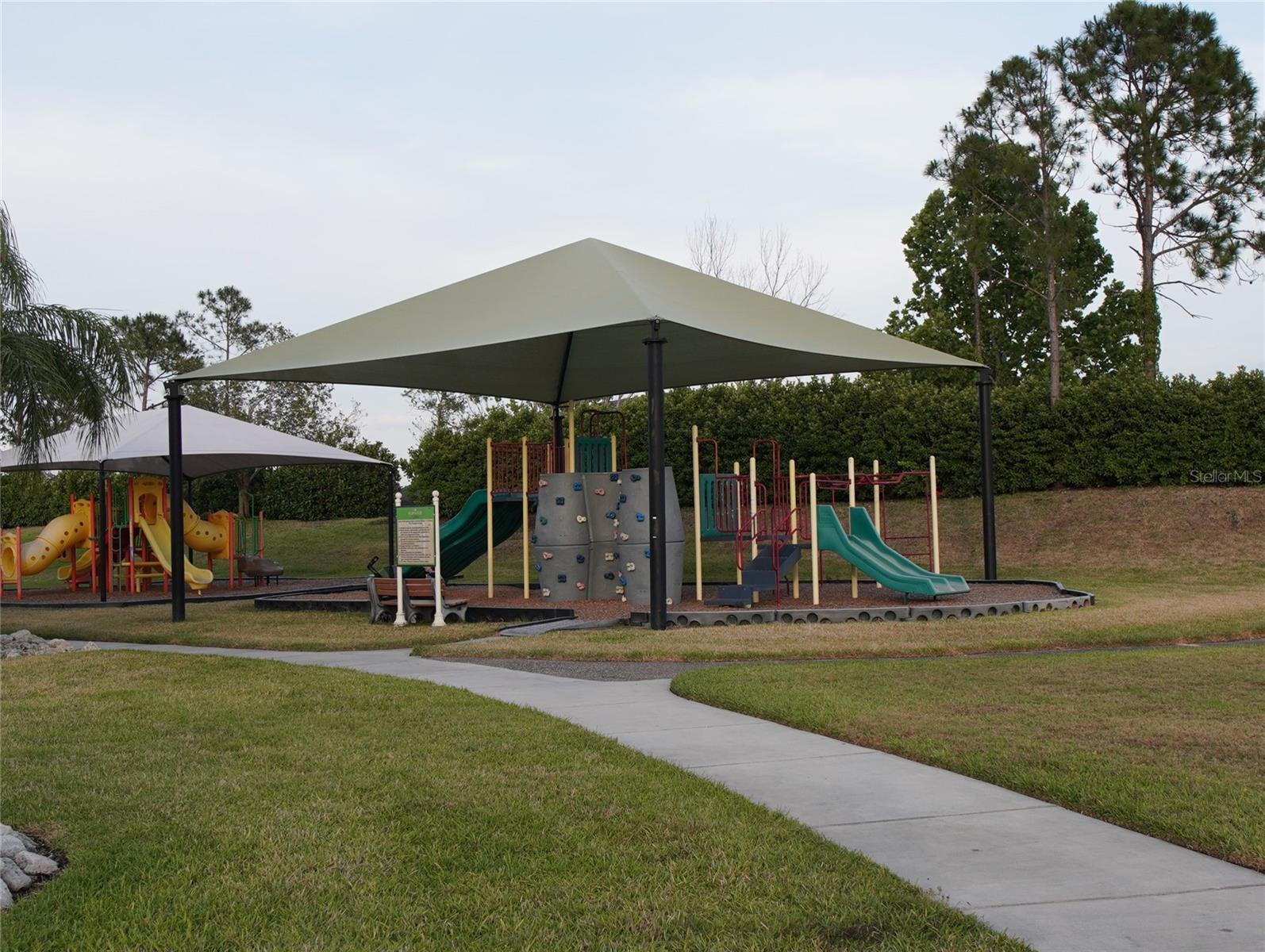 T3536292