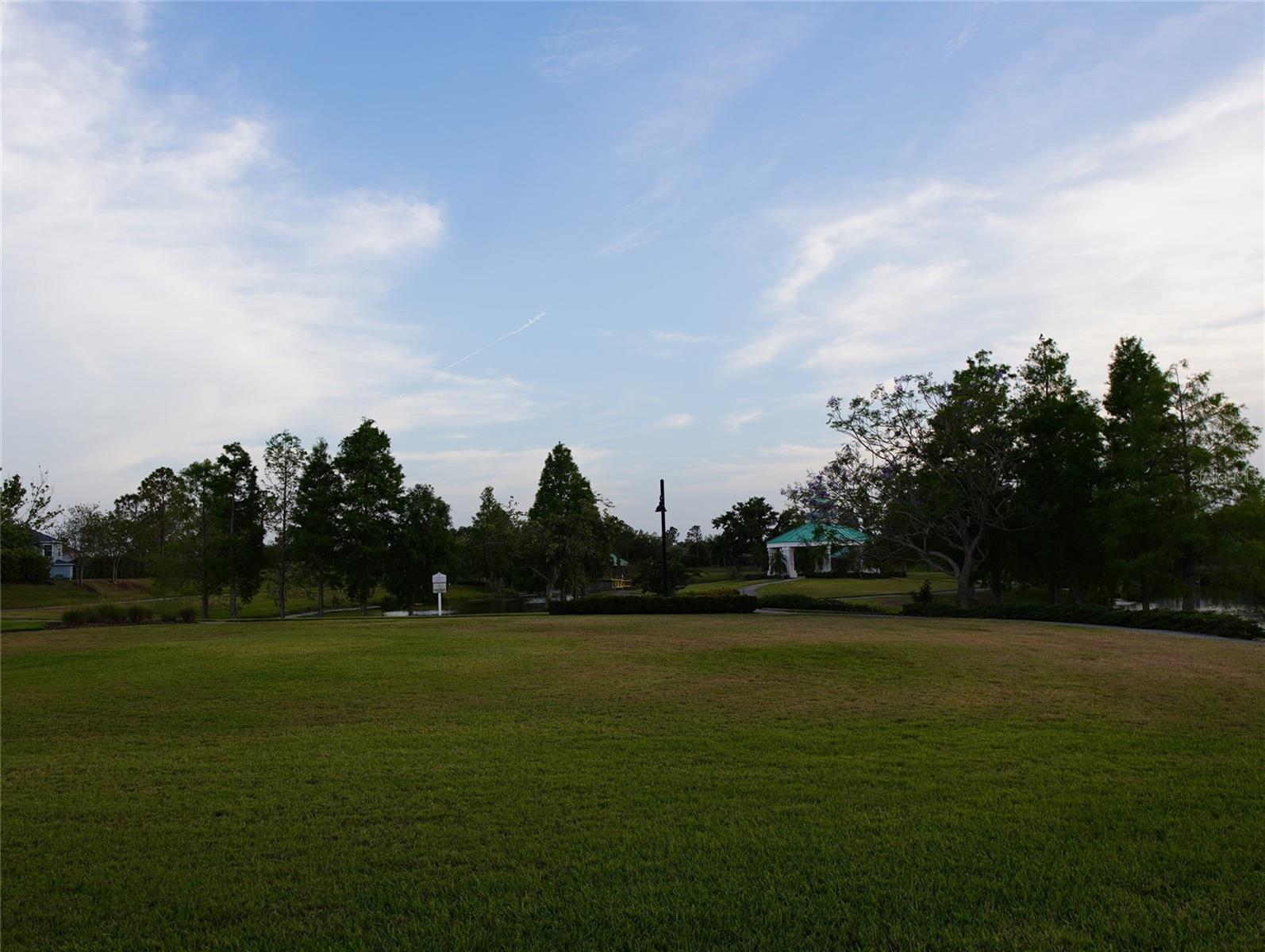 T3536292
