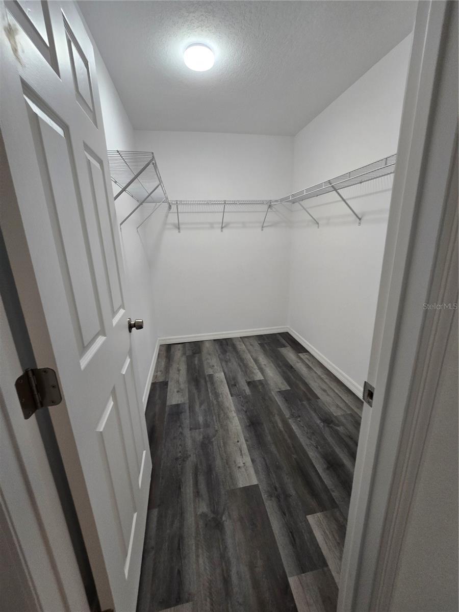 T3536426
