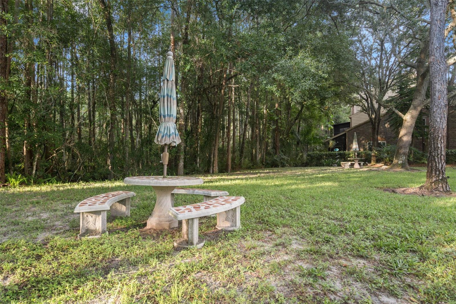 Community Picnic Space in a serene area