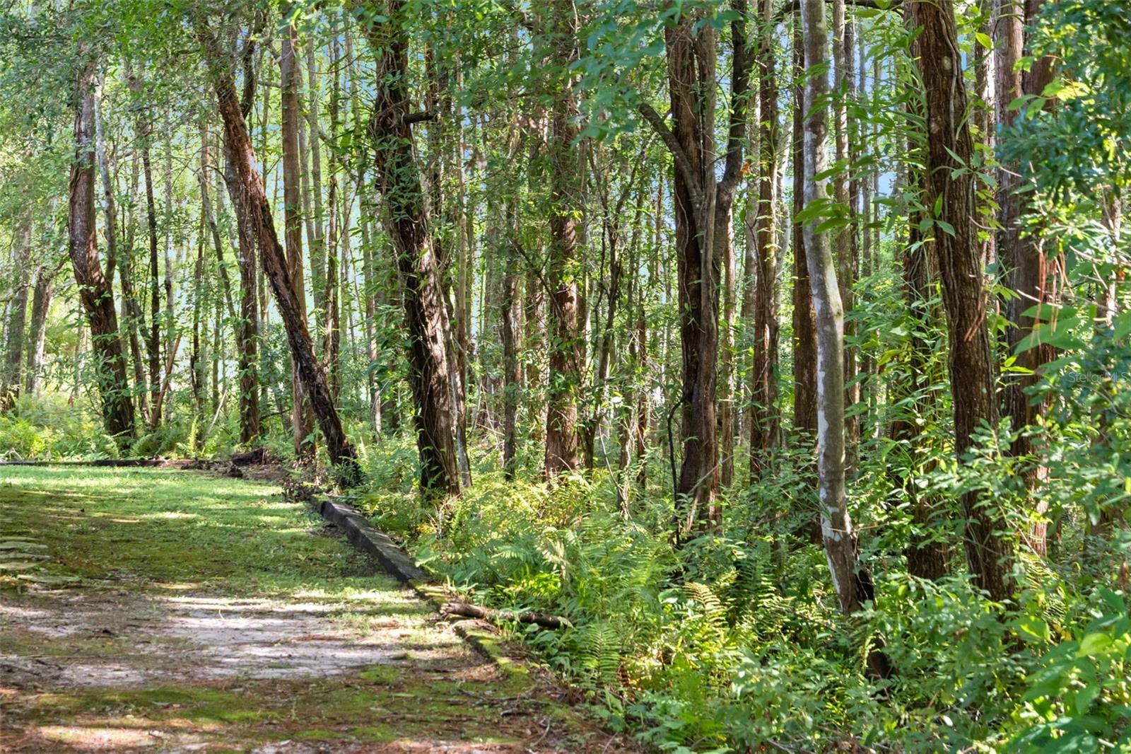 End Unit offers Privacy and Serene surroundings next to the Nature Preserve