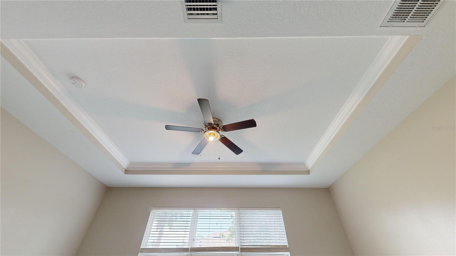 Ceiling and fan in master bedroom