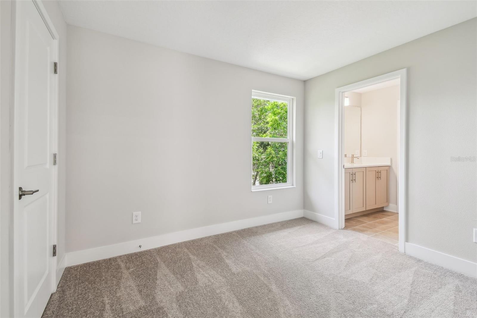 T3536537