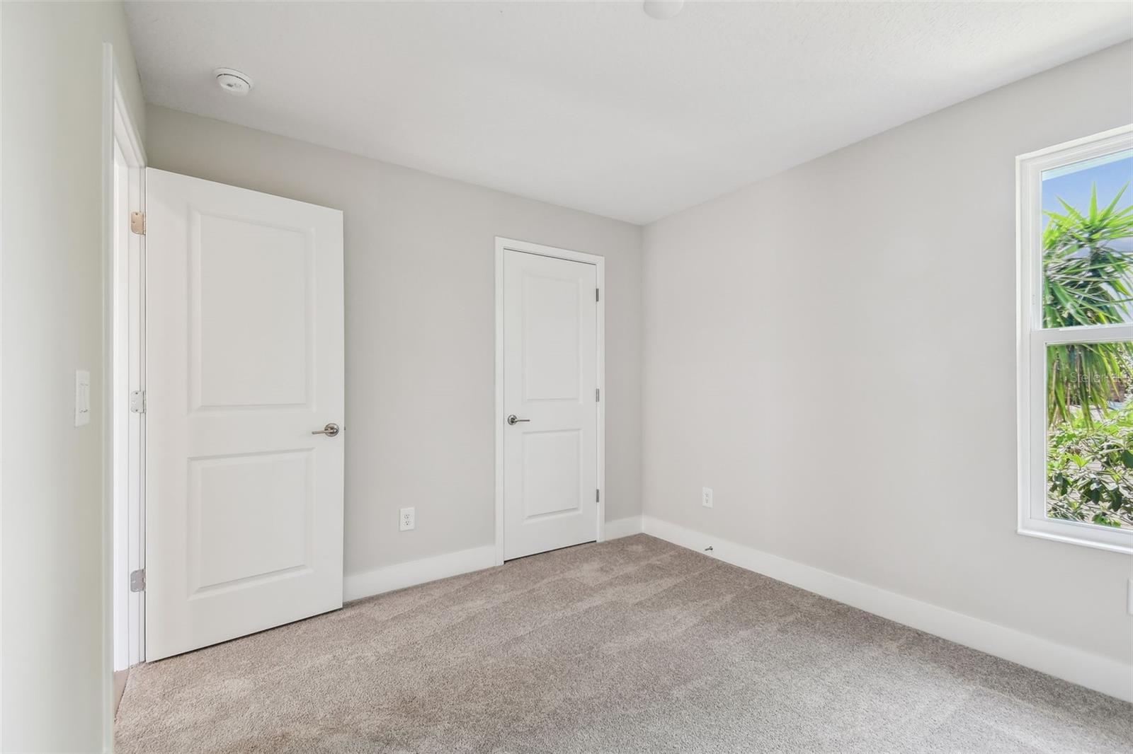 T3536537