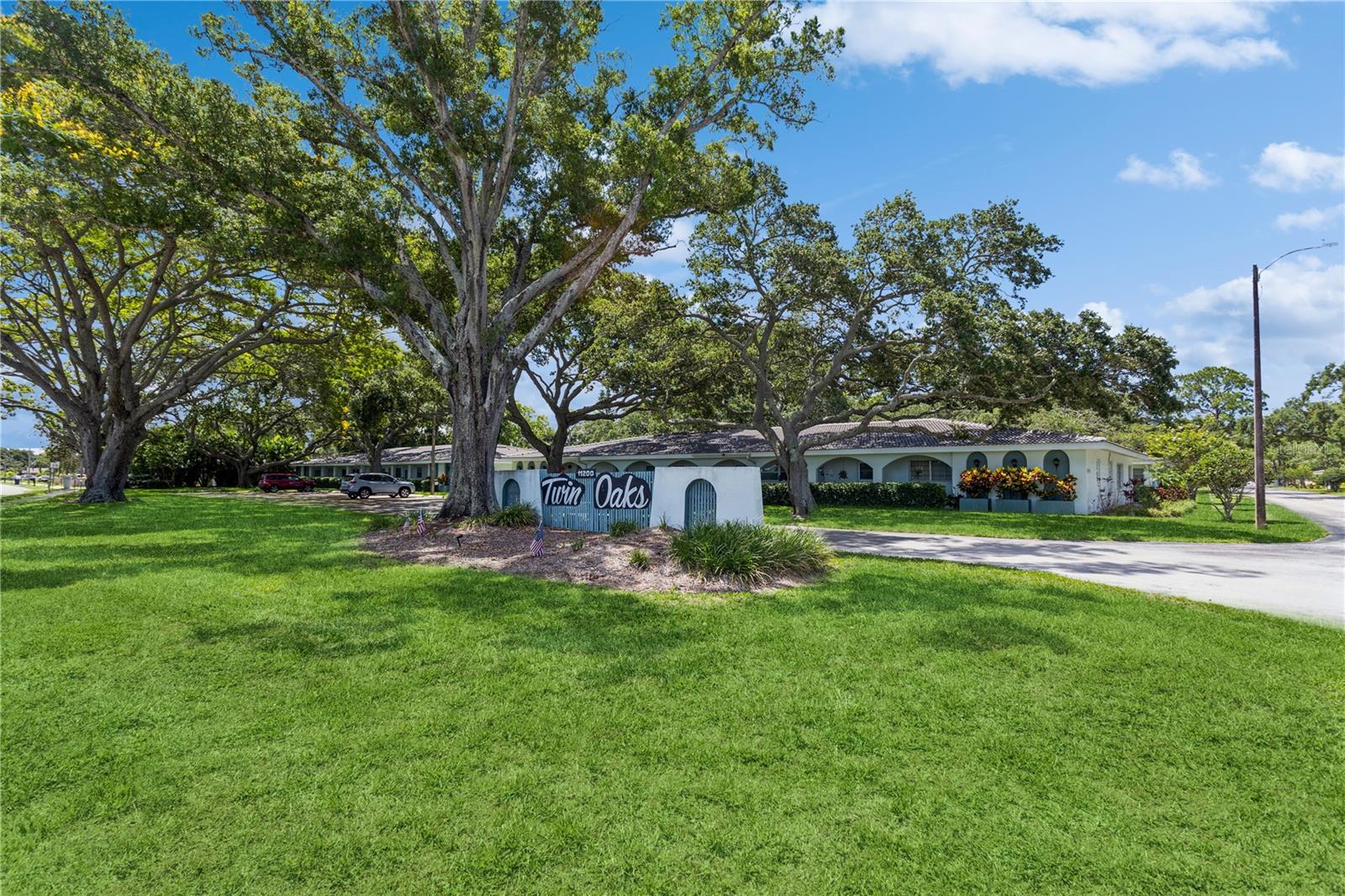 Beautiful mature oaks with lots of green space in the community.