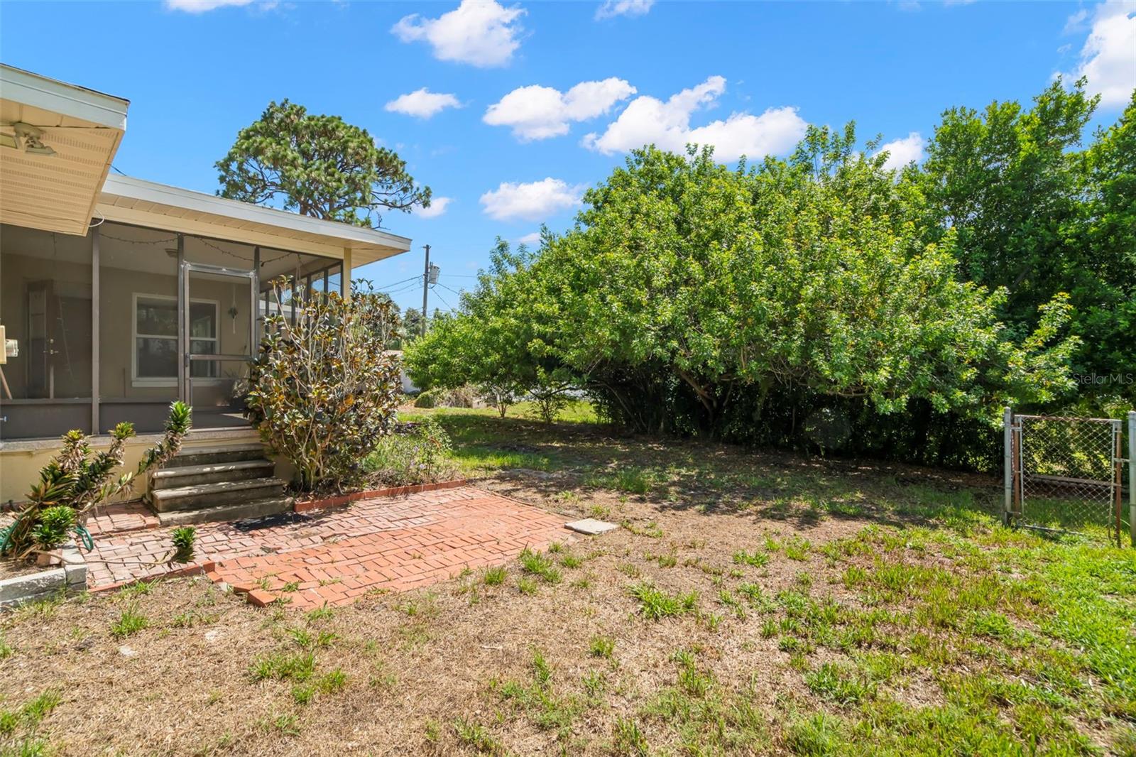 Large backyard with room to run and play!