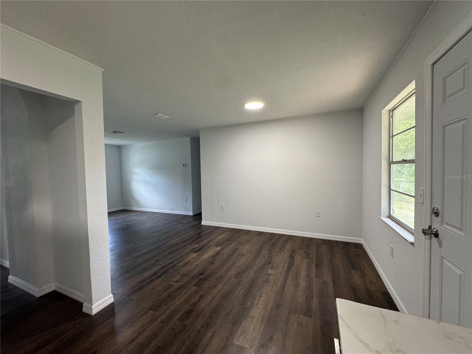 Living Room/ Dining Room - Open Space