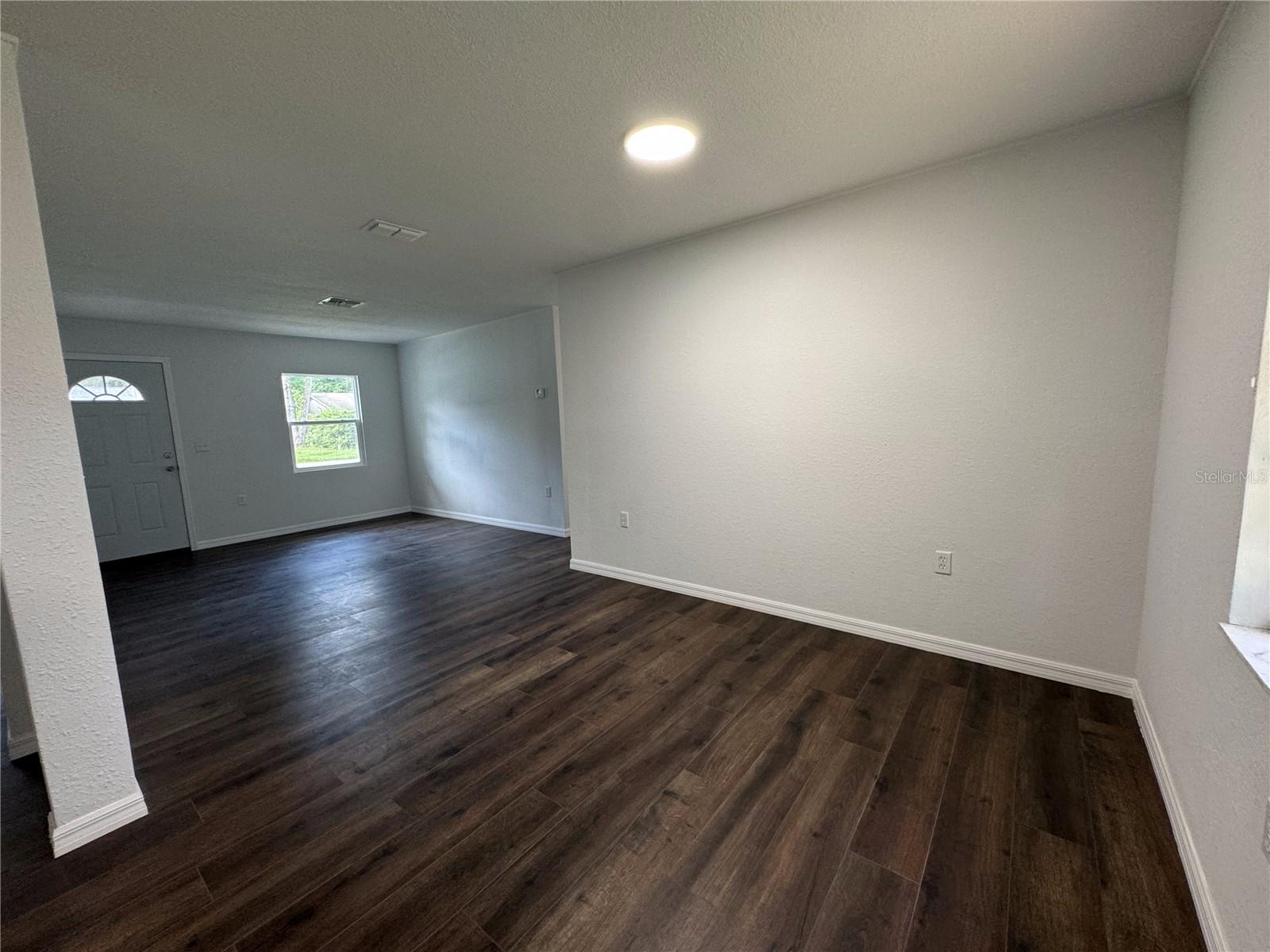 Living Room/ Dining Room - Open Space