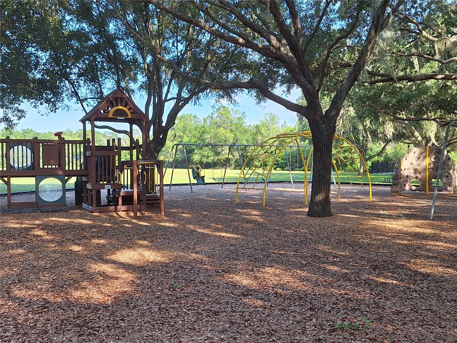 Community Recreational Area