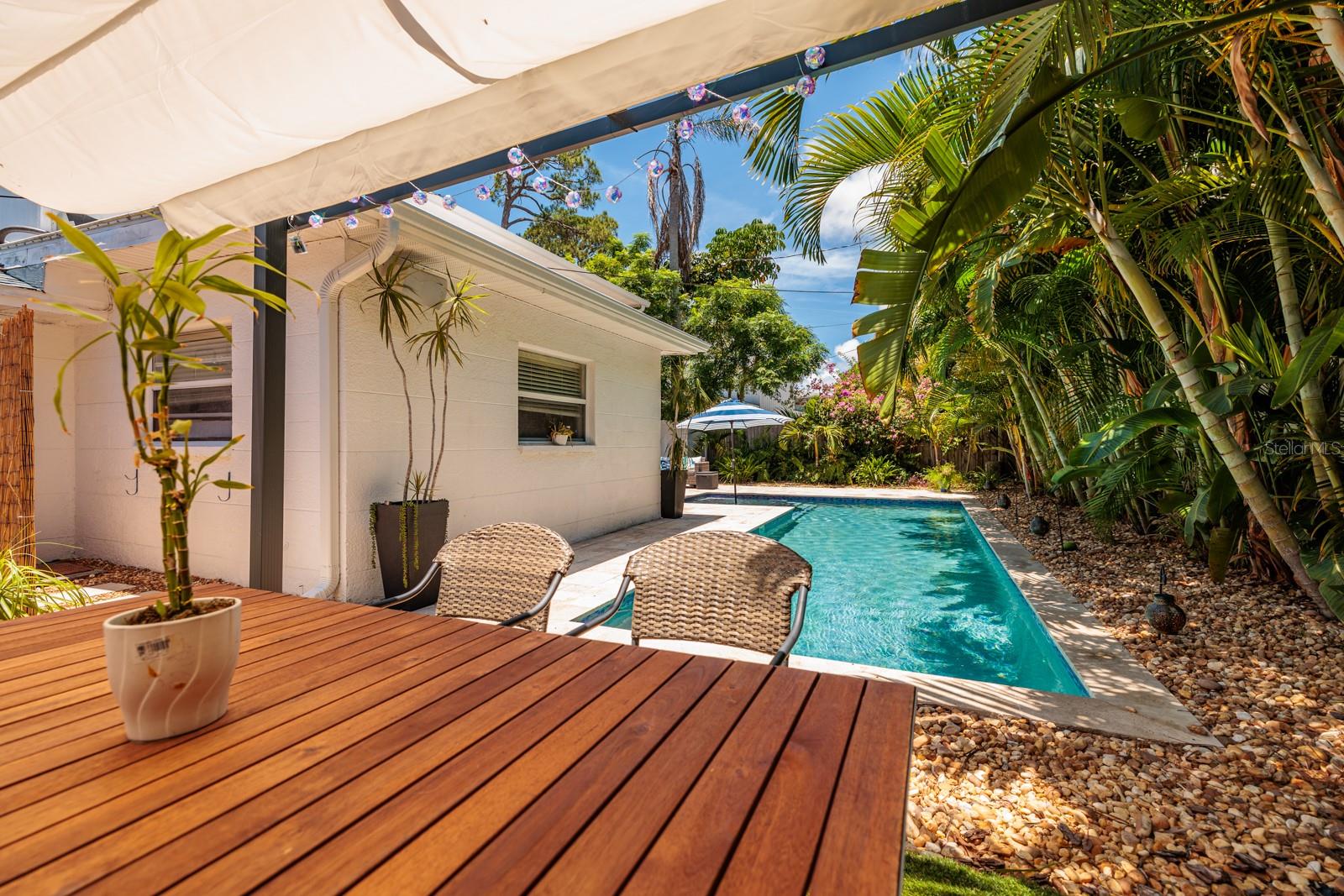 Palm Trees & Birds of Paradise along the pool