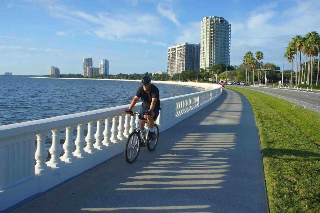 Bayshore Blvd 8 mile round trip linear sidewalk