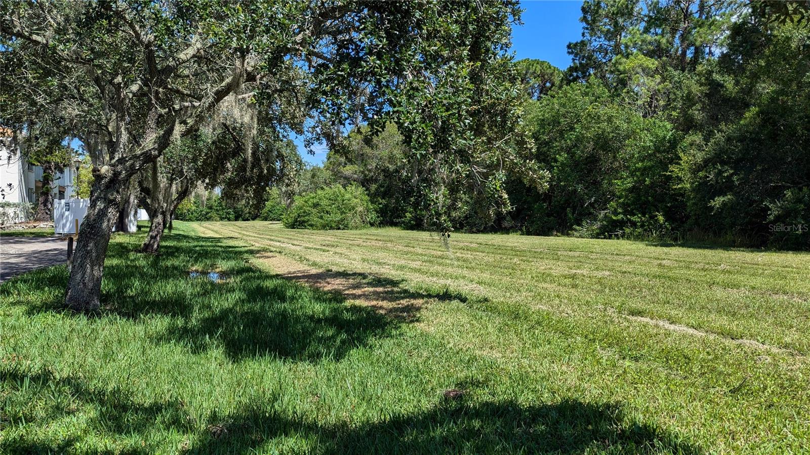 View in front of unit. Nice green space to walk