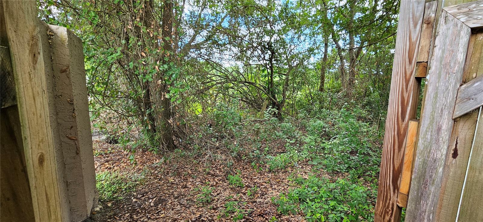 View from Gate when Open