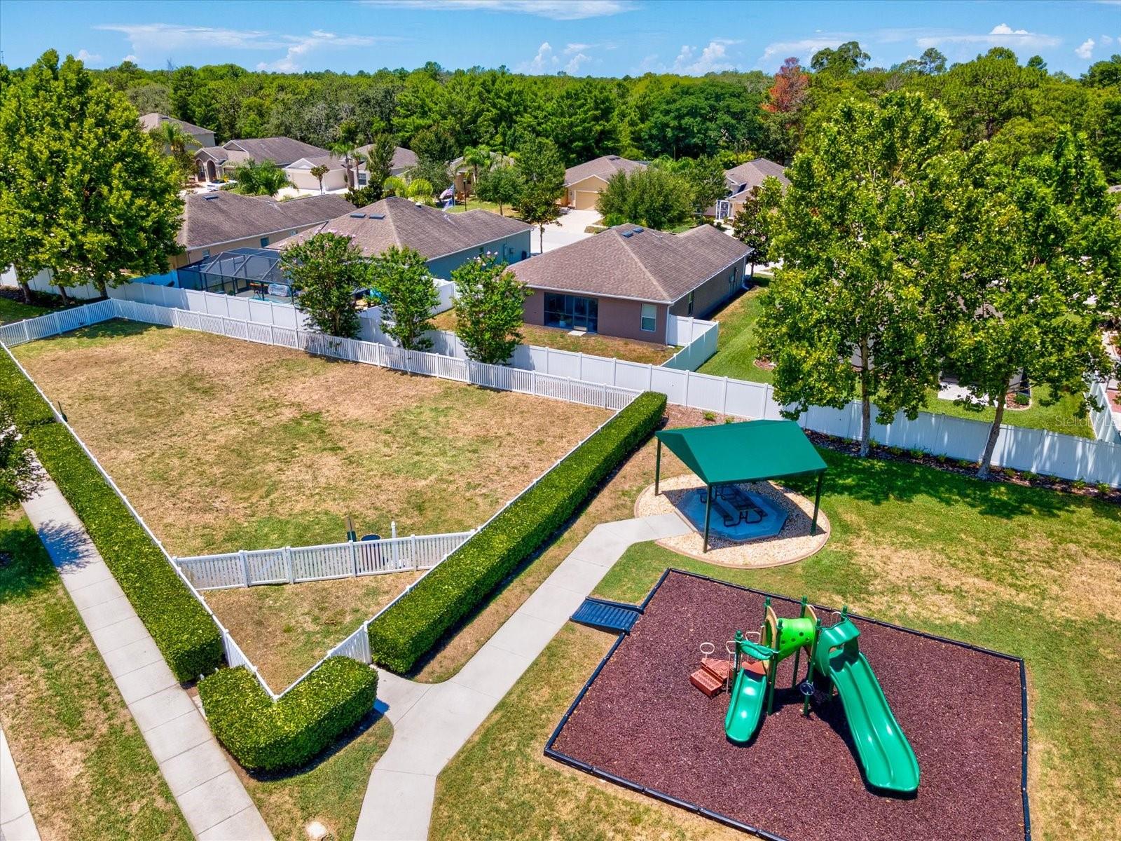 Community Playground & Dog Park across the street