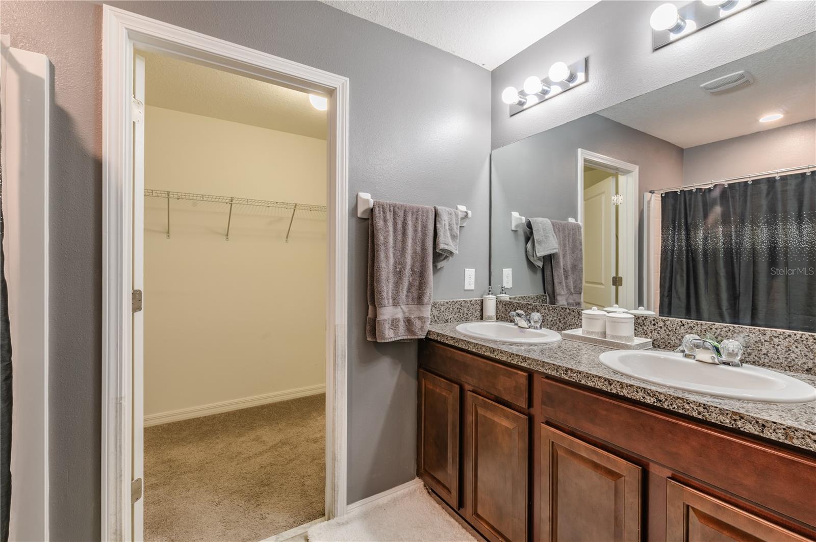 T3537718