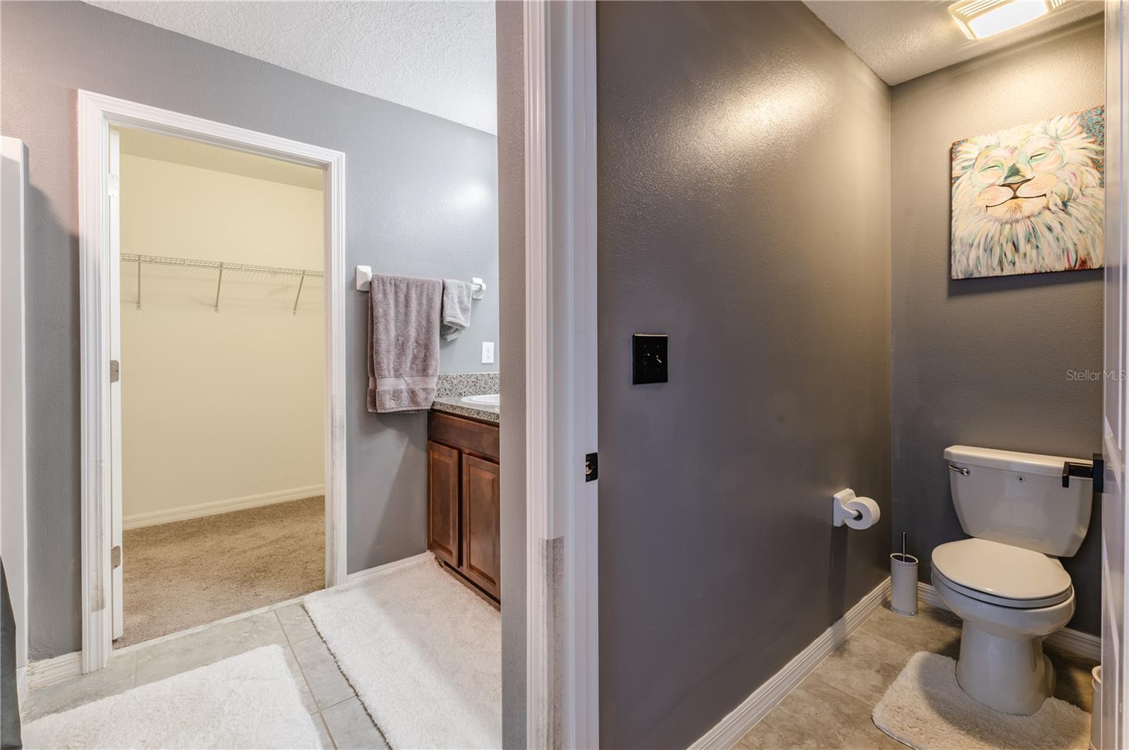 T3537718