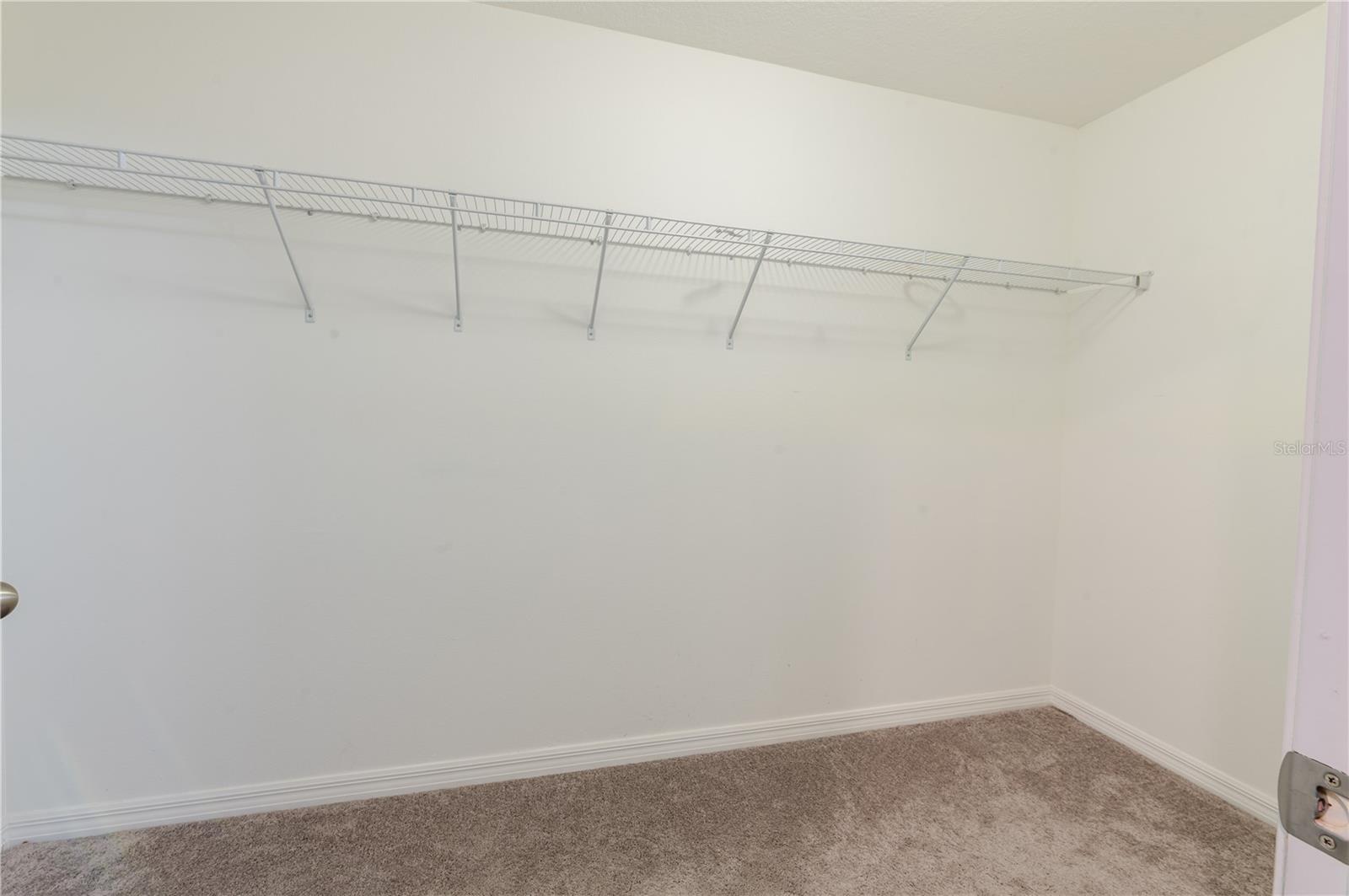 T3537718