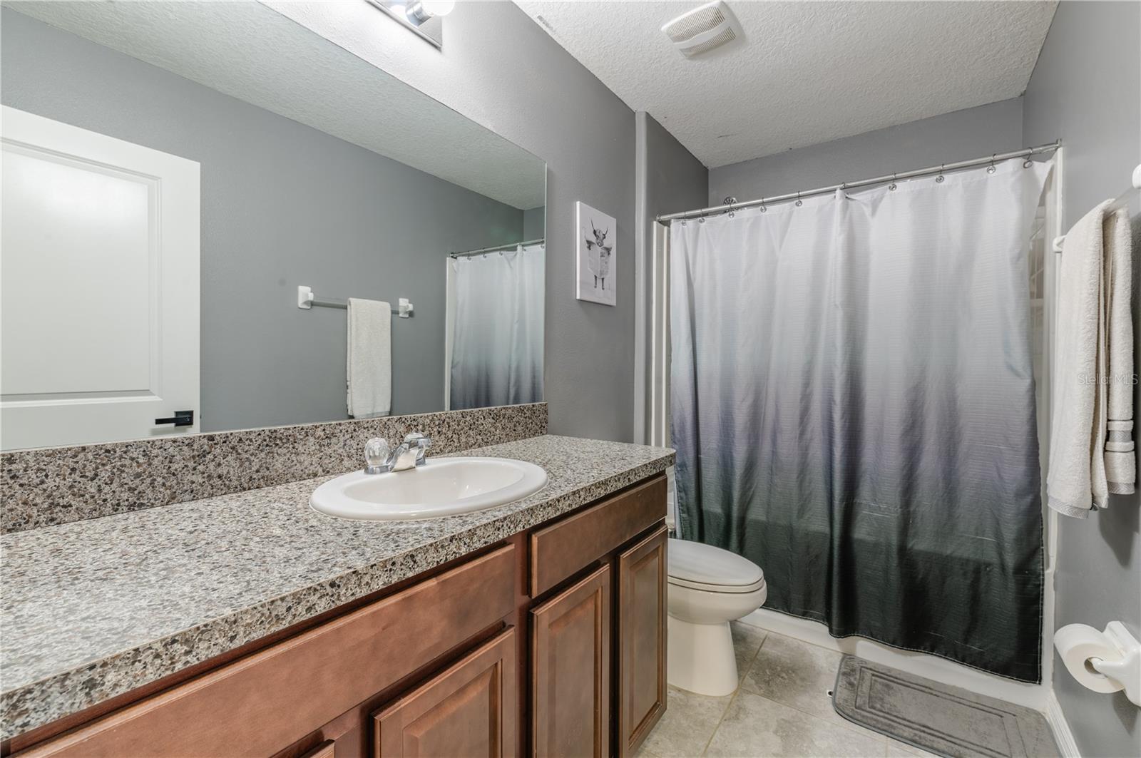 T3537718