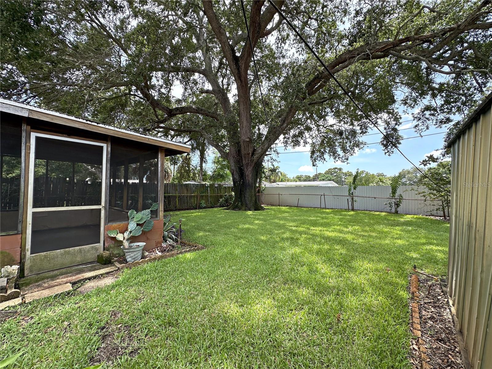 Huge Back Yard with screen house to the left and shed to the right