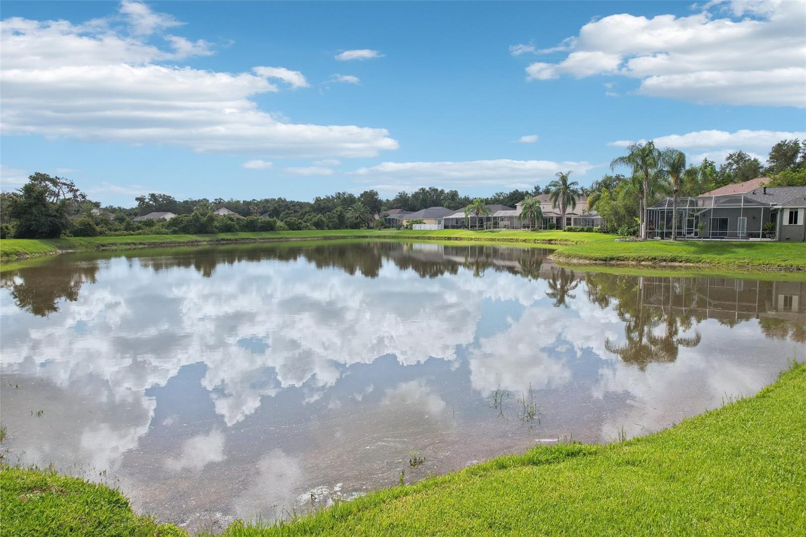 Aerial view of the pond