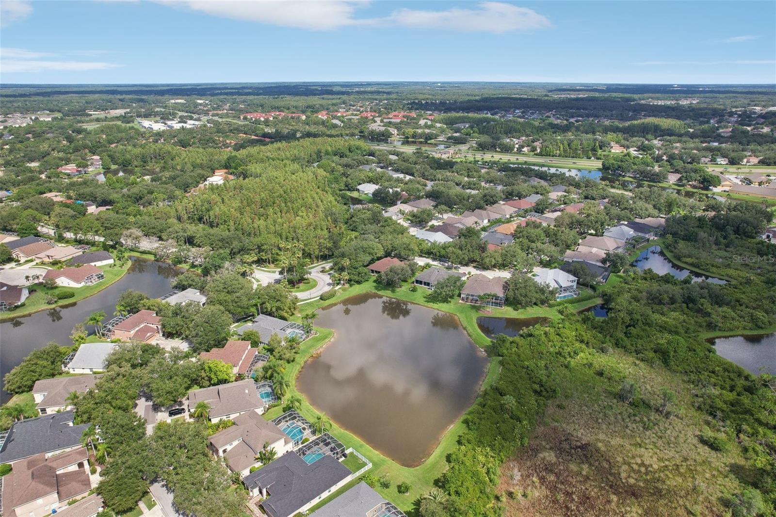 Aerial view of the pond