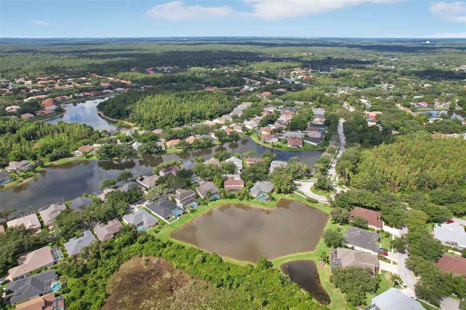 Aerial view of the pond