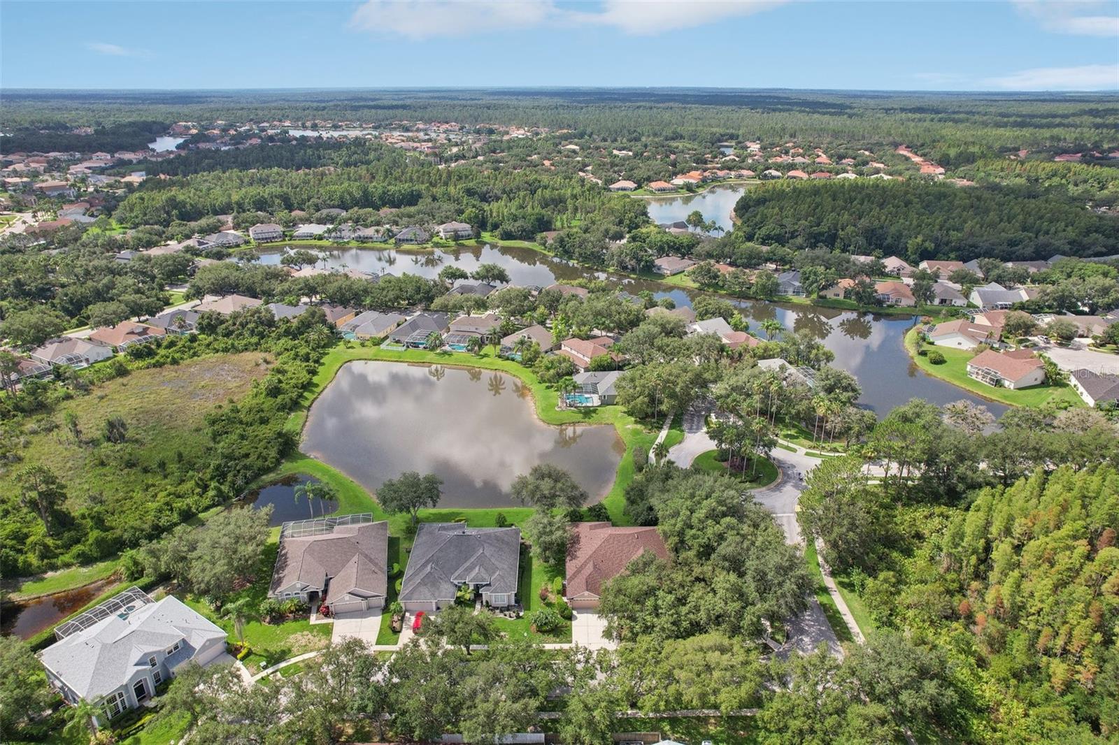 Aerial view of the pond