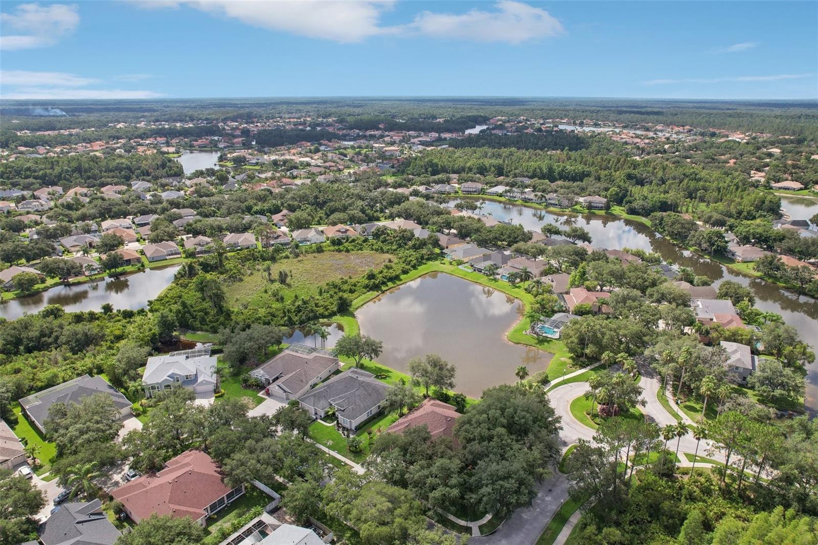 Aerial view of the pond